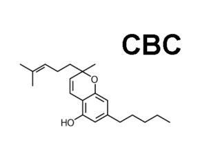 סימון מולקולת CBC