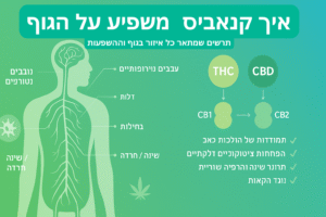 איך משפיע קנאביס על הגוף